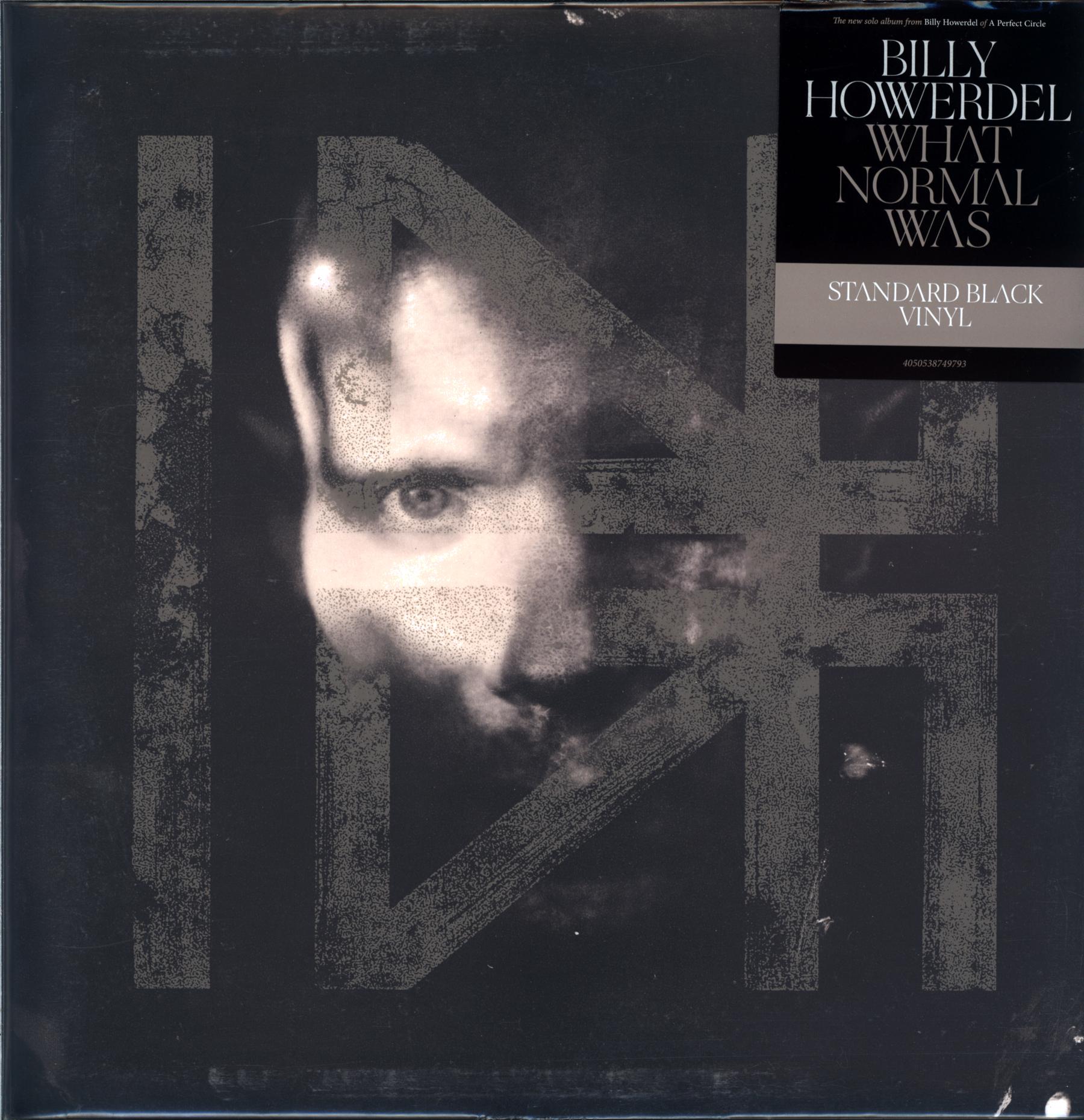 Billy Howerdel-What Normal Was-LP Vinyl