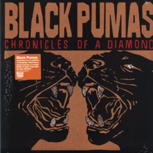 Black Pumas-Chronicles Of A Diamond-whit clear orange splatter LP Vinyl