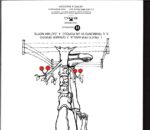 Capitolo 6-Frutti Per Kagua-CD
