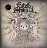 Enter Shikari-Take To The Skies-LP Vinyl