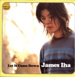 James Iha-Let It Come Down-LP Vinyl