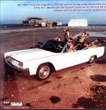 Me First And The Gimme Gimmes-Blow In The Wind-LP Vinyl