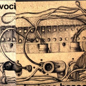 Luciano Basso-Voci-CD