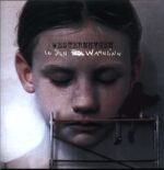 Marius Müller-Westernhagen-In Den Wahnsinn-LP Vinyl