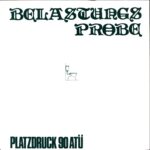 Belastungsprobe-Platzdruck 90 ATÜ-7 Vinyl