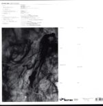 Black Lung-See The Enemy-LP Vinyl clear