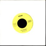 Dark Impression- Fire And Water - Girl You've Missed The Train-7 Vinyl