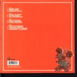 Eels-Wonderful Glorious-orange LP Vinyl