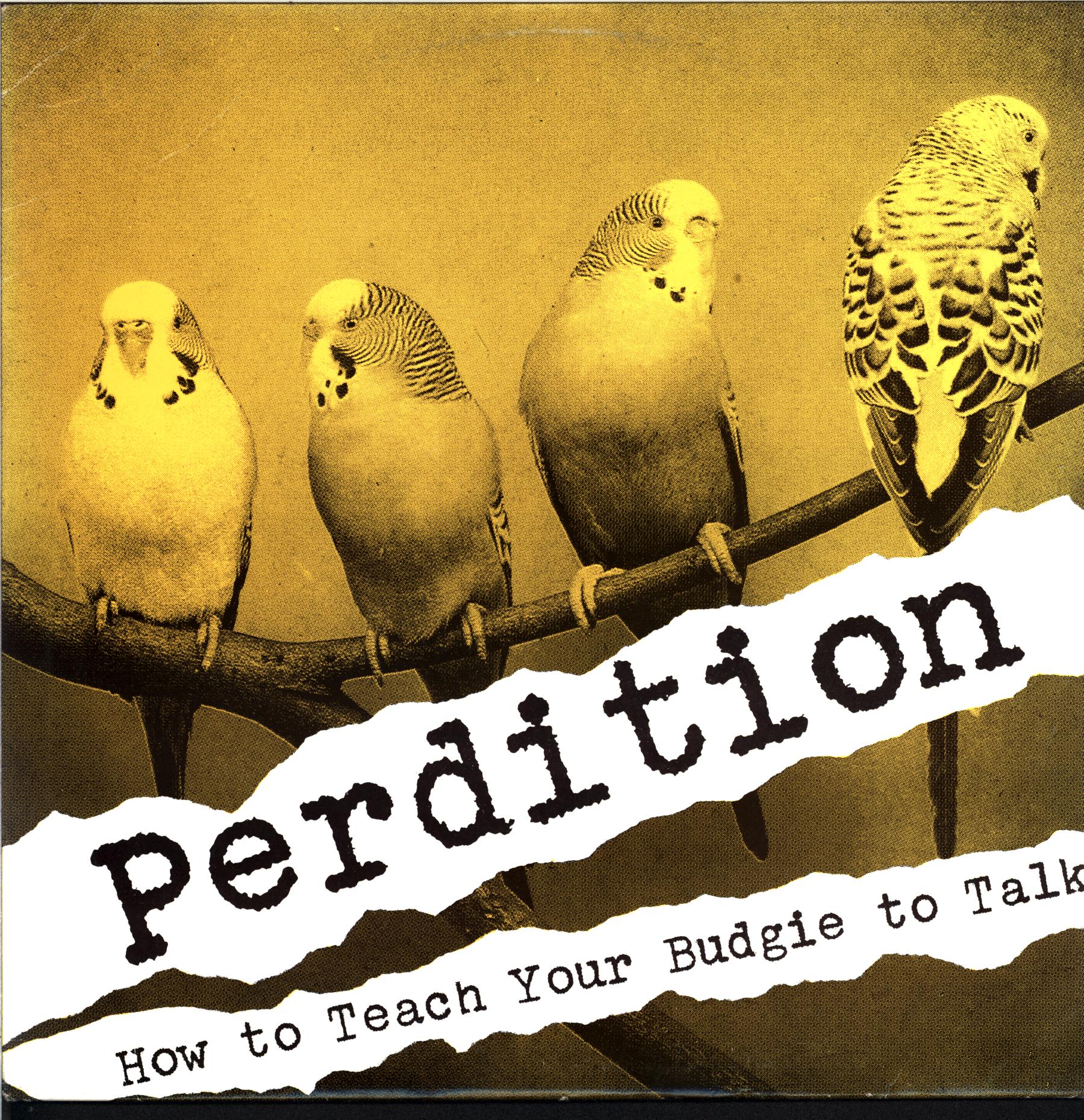 Perdition-How To Teach Your Budgie To Talk-LP Vinyl-1 Perdition-How To Teach Your Budgie To Talk-LP Vinyl
