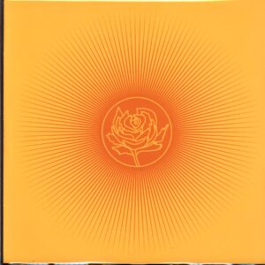 Ryan Adams and The Cardinals-Easy Tiger-orange LP Vinyl