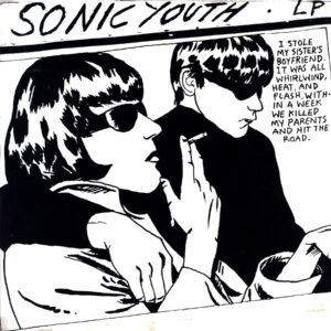 Sonic Youth-Goo-4 LP Vinyl Box Set