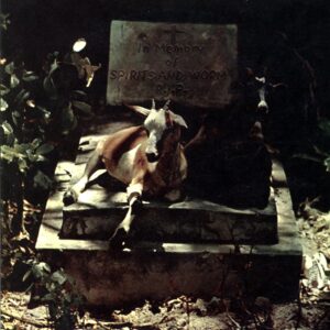 Spirits And Worm-Spirits And Worm RE 2001-LP Vinyl