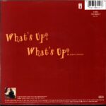 4 Non Blondes-What's Up-7 Vinyl