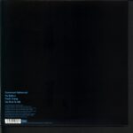 Arctic Monkeys-Fluorescent Adolescent-10 Vinyl