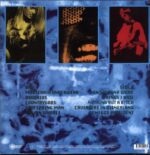 Cat Rapes Dog-Moosehair Underwear-LP Vinyl