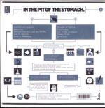 We Were Promised Jetpacks.-In The Pit Of The Stomach-LP Vinyl
