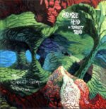 Assemble Head In Sunburst Sound-When Sweet Sleep Returned green-LP Vinyl