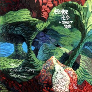 Assemble Head In Sunburst Sound-When Sweet Sleep Returned green-LP Vinyl