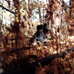 Billy Woods-Golliwog-LP Vinyl
