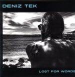 Deniz Tek-Lost For Words-LP Vinyl
