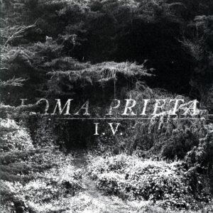 Loma Prieta-I.V. grey-LP Vinyl