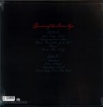 Queens Of The Stone Age-Perfecth-LP Vinyl transparent