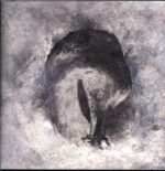 Suma-Ashes-LP Vinyl