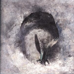 Suma-Ashes-LP Vinyl