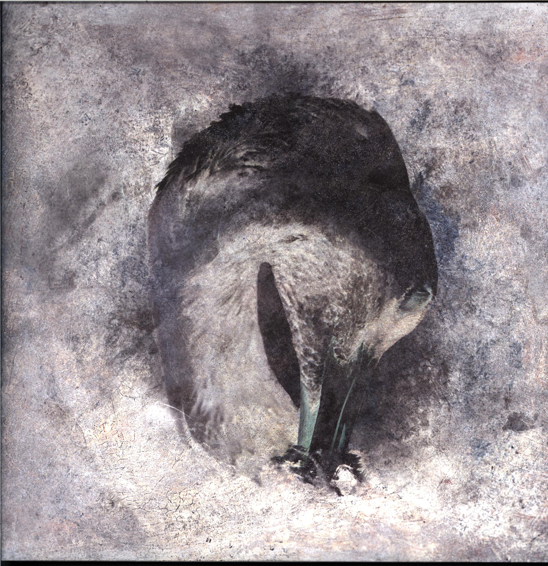 Suma-Ashes-LP Vinyl-1 Suma-Ashes-LP Vinyl