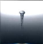 Té-Collection-clear LP Vinyl