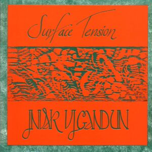 The Surface Tension-Invar Vigandun-LP Vinyl