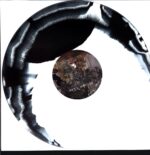 These Arms Are Snakes-Tail Swallower And Dove-white black haze LP Vinyl