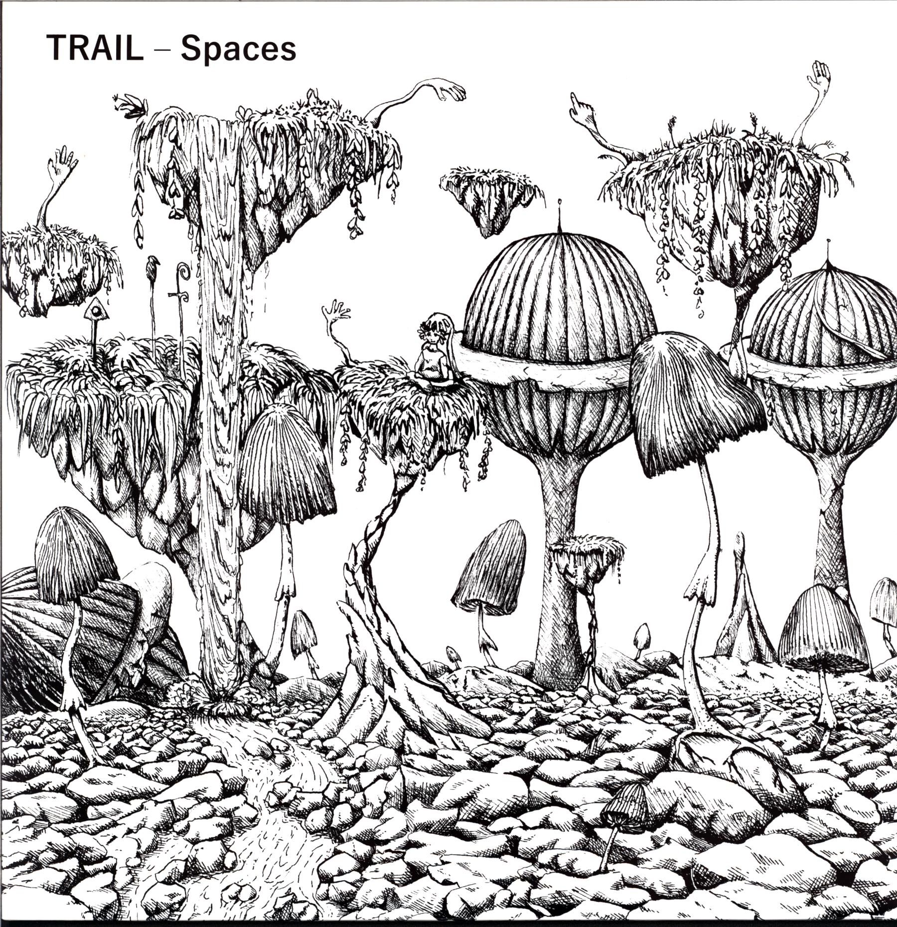 Trail-Spaces-LP Vinyl-1 Trail-Spaces-LP Vinyl